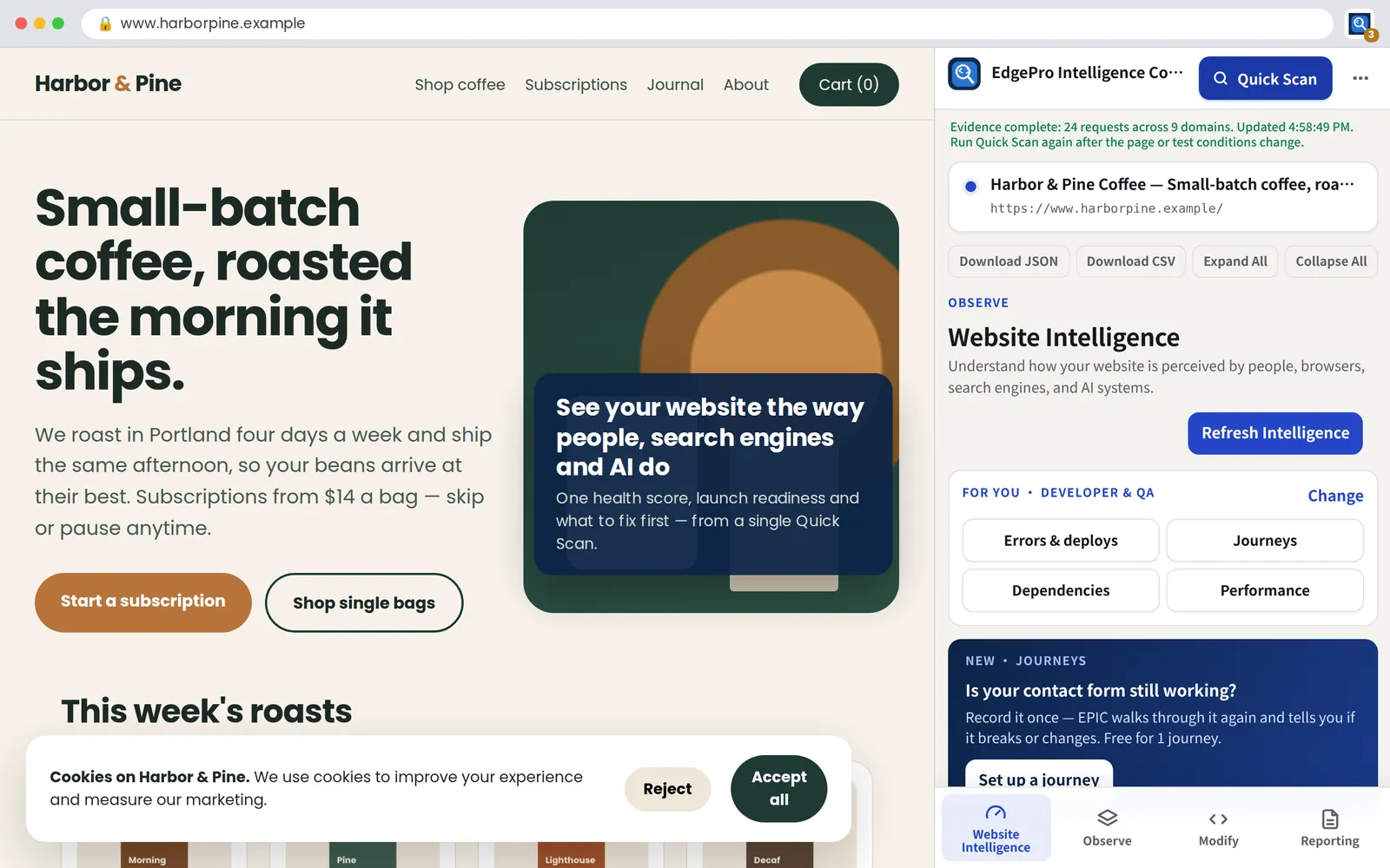 Website Intelligence: one health score, launch readiness and what to fix first