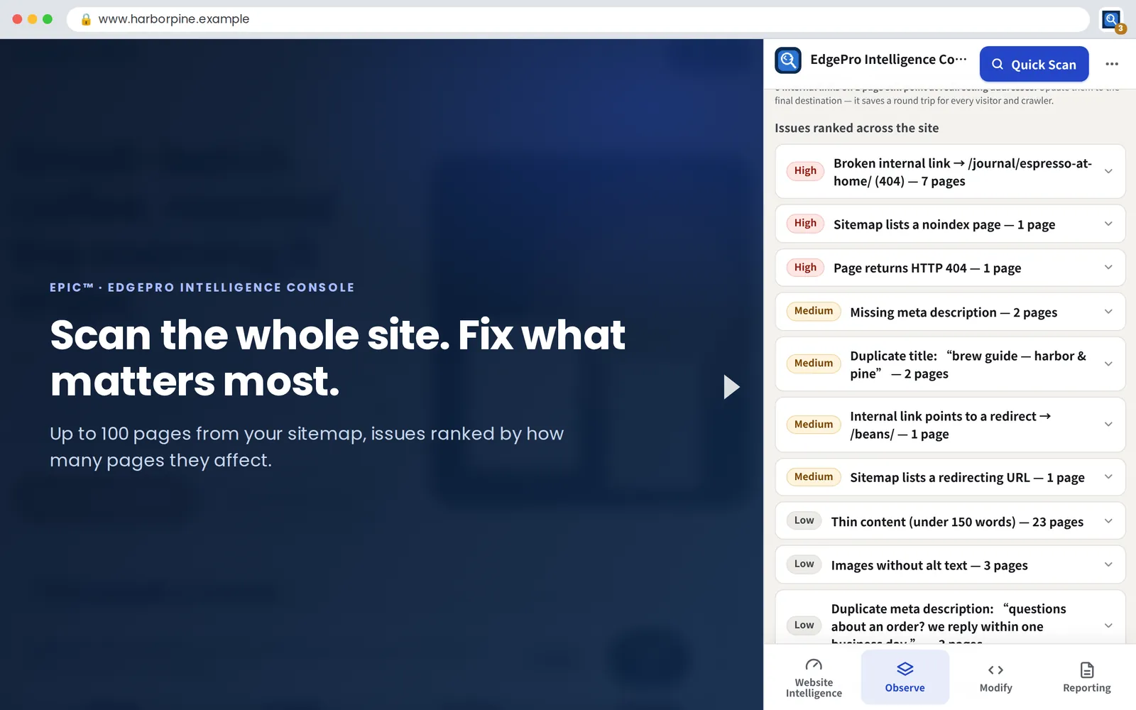 Site Scan: up to 100 pages, issues ranked by pages affected
